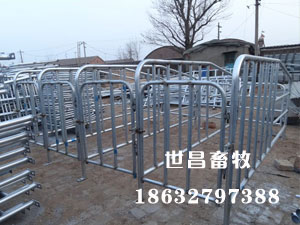 豬限位欄