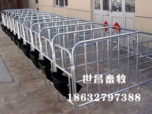 定位欄