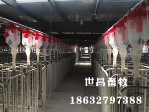 云南安裝現(xiàn)場