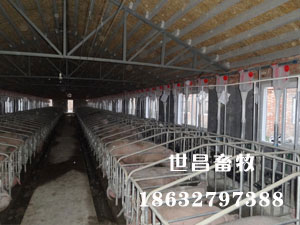 陜西安康安裝現(xiàn)場