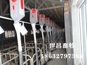 泊頭安裝案例