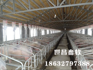 保定安裝現(xiàn)場