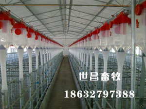 安裝現(xiàn)場