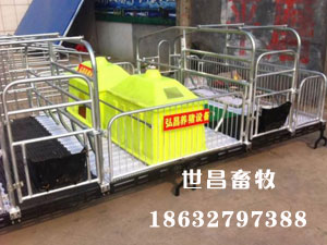 母豬產(chǎn)床