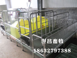 母豬產(chǎn)床