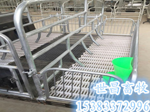 兩個(gè)位母豬產(chǎn)床