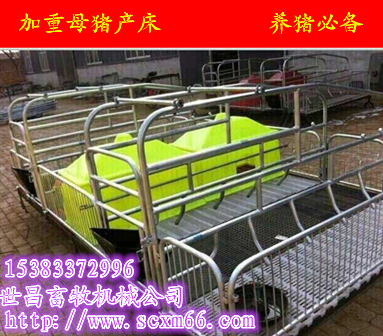 高培母豬雙體產(chǎn)床