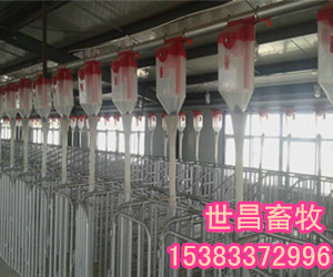 豬用自動供料系統(tǒng)