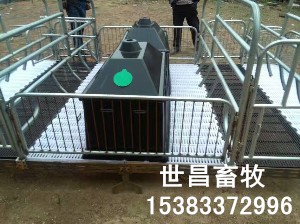 新型母豬雙體產床