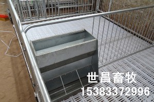 仔豬雙體保育床
