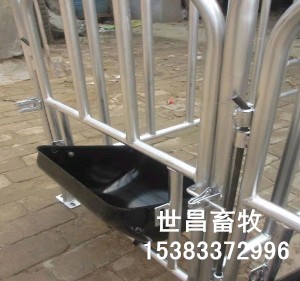 母豬限位欄