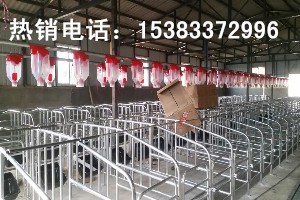 定位欄舍自動(dòng)化上料