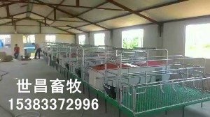 加重產(chǎn)床豬用