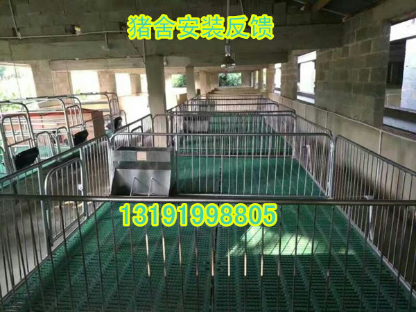 整體復(fù)合仔豬保育床育肥保育欄豬用