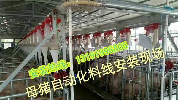豬場(chǎng)自動(dòng)化上料設(shè)備