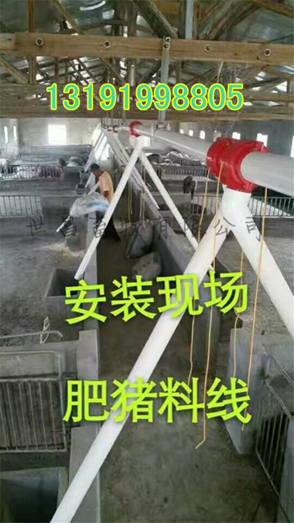 全自動化豬場下料系統(tǒng)安裝廠家