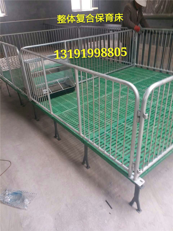 復合保育床 世昌畜牧產(chǎn)品