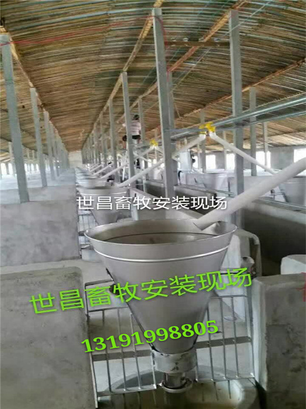 新品自動(dòng)料線