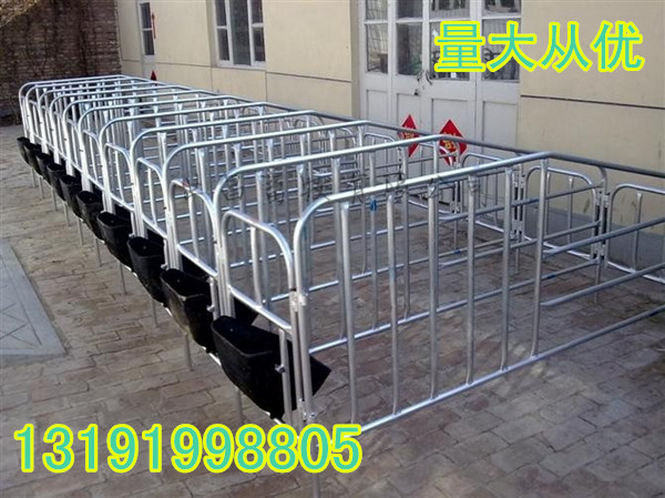定制母豬定位欄