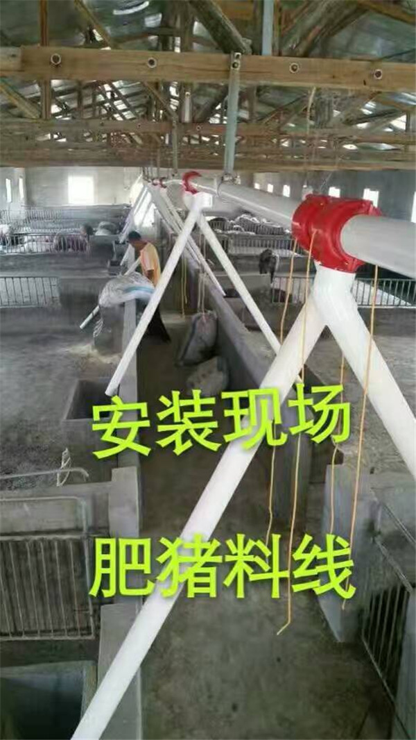 豬場(chǎng)自動(dòng)化喂料設(shè)備