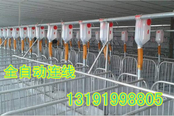 母豬產(chǎn)床自動(dòng)化上料線(xiàn)