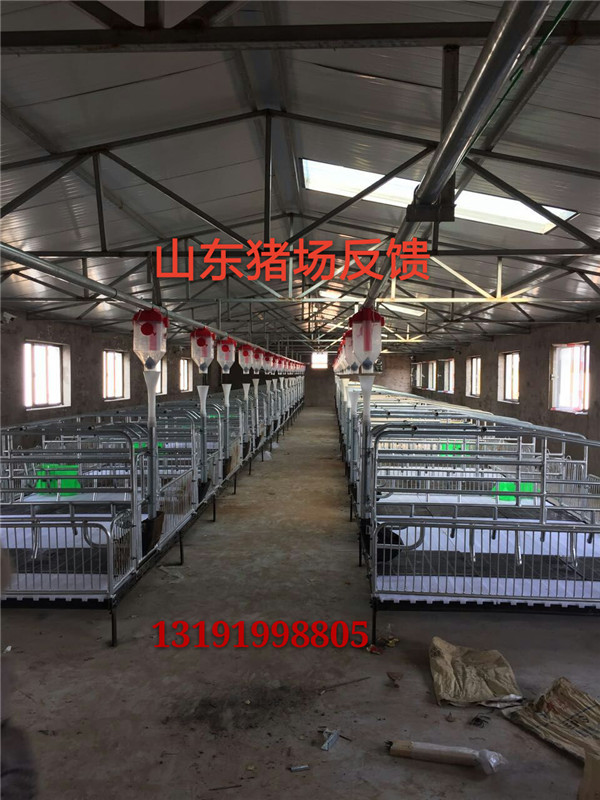 自動化下料養(yǎng)殖系統(tǒng)料線設(shè)備