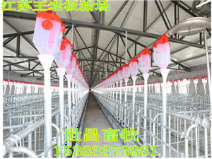 全自動(dòng)豬用料線