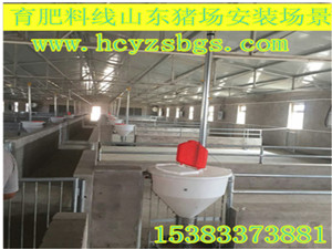 自動喂料系統(tǒng)育肥豬大卷設(shè)計安裝