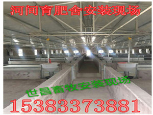 自動(dòng)化豬用料線
