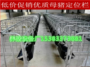 定位欄單體欄喂養(yǎng)豬設備廠家直銷