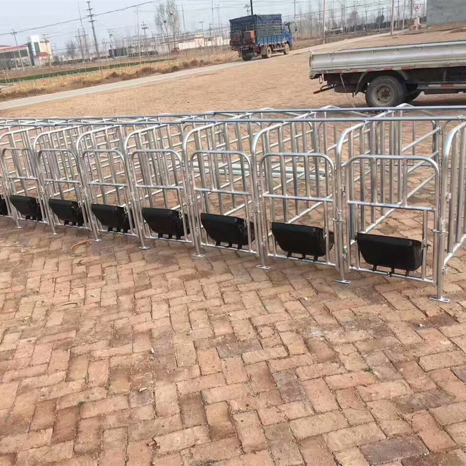 熱鍍鋅管母豬定位欄