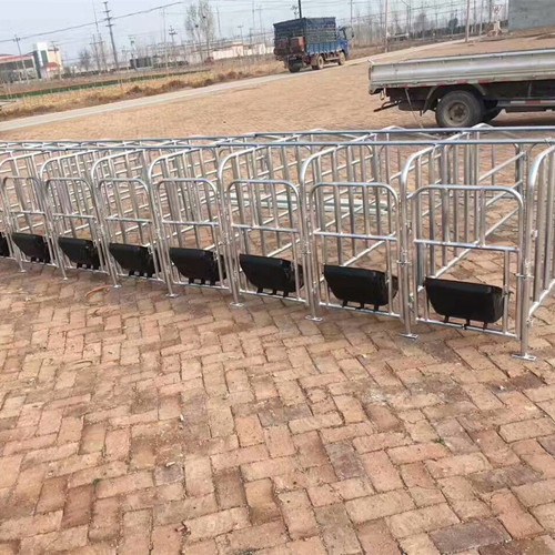 豬用定位欄鍍鋅管定位欄