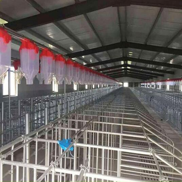 2022全自動(dòng)喂料設(shè)備供應(yīng)