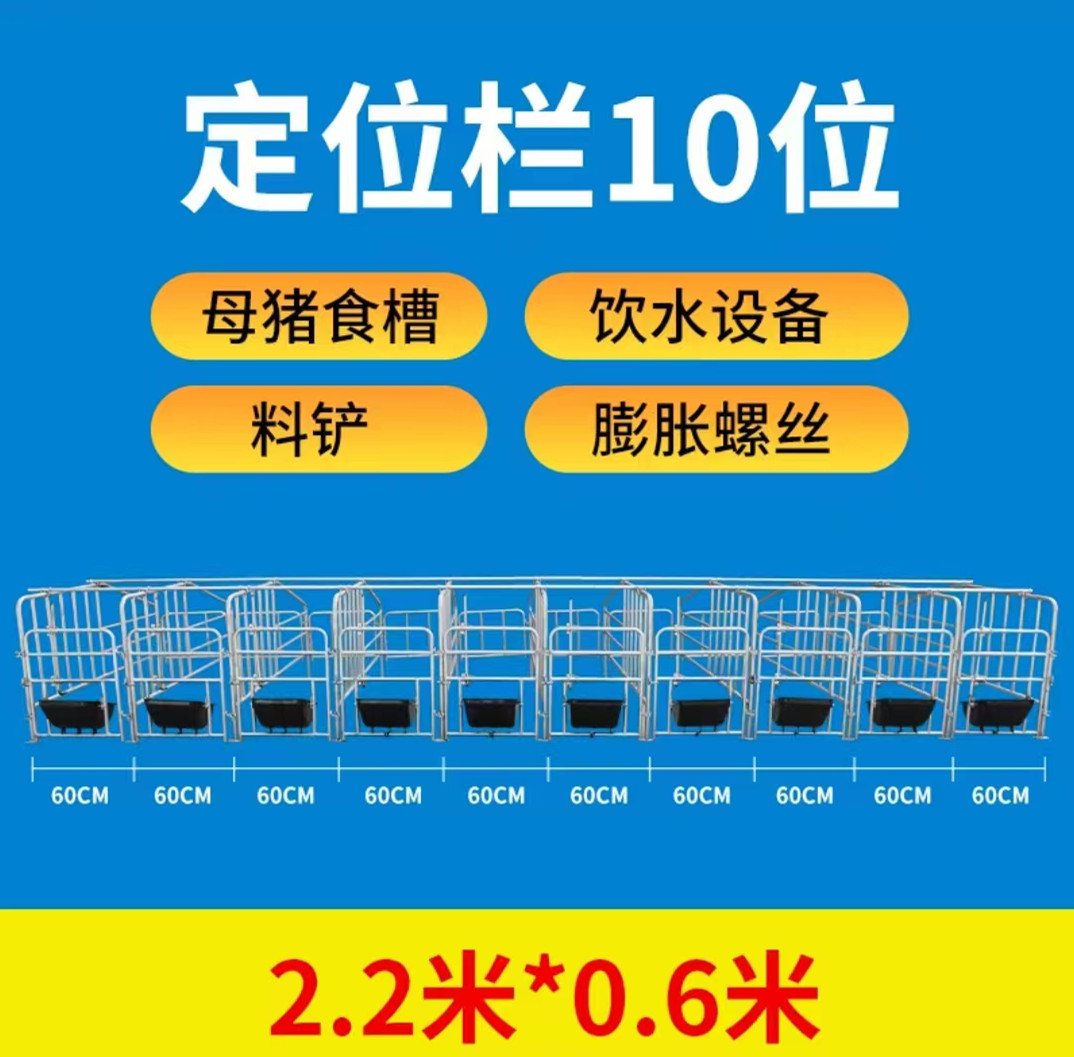 落地式母豬定位欄