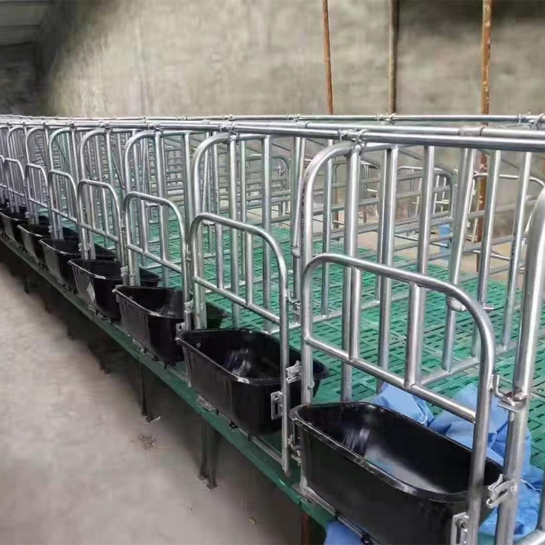 懸空母豬限位欄