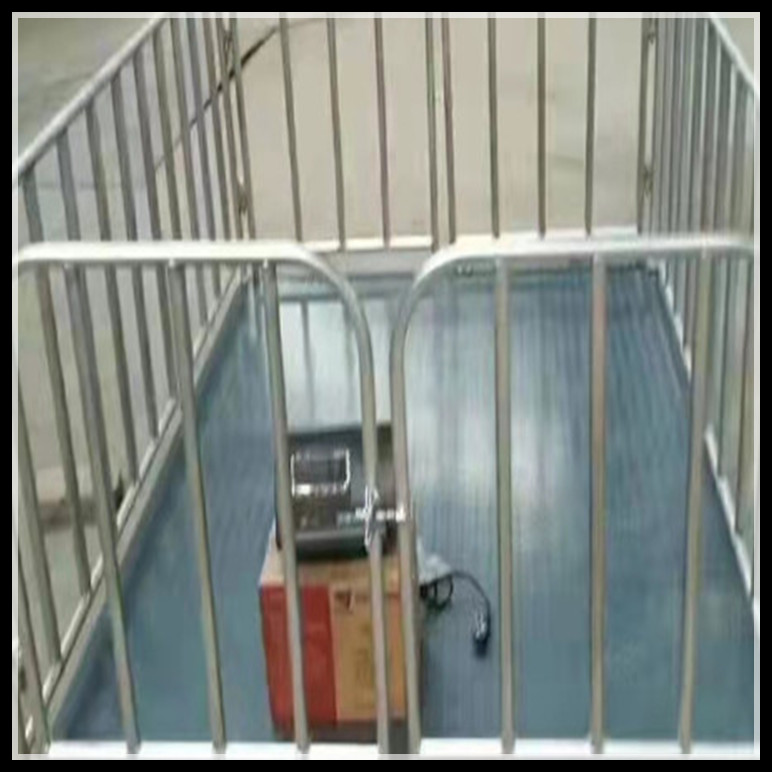 電子稱豬地磅 小型電子秤
