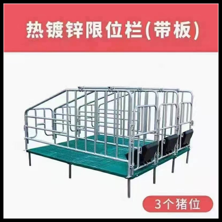 帶漏糞板母豬欄