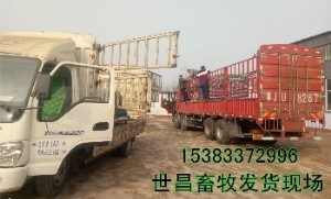 安徽阜陽(yáng)發(fā)貨