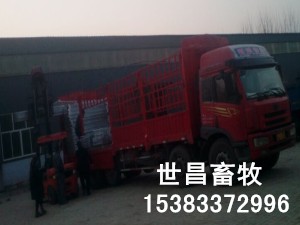 貴州納雍縣發(fā)貨